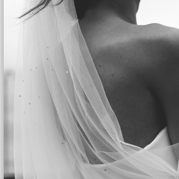 Daphne Newman Lucca Cathedral Veil